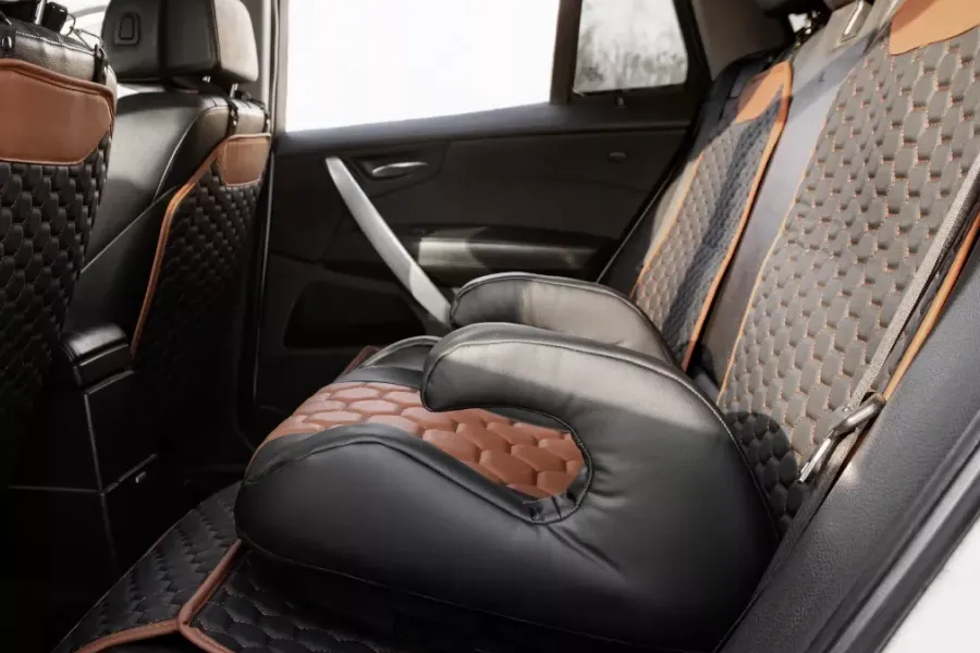 Adjustable Car Booster Seat for Toddlers