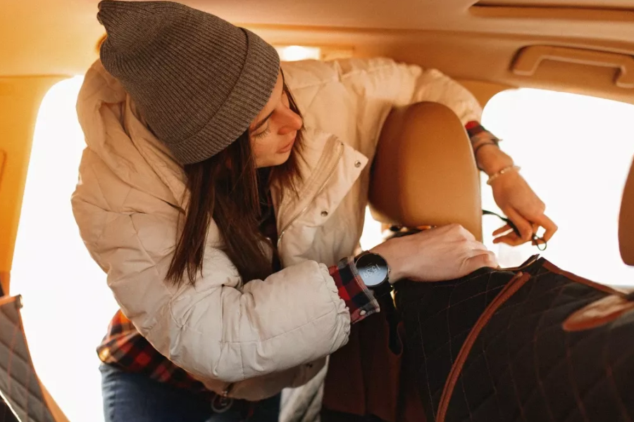 Stylish Dog Car Seat Cover
