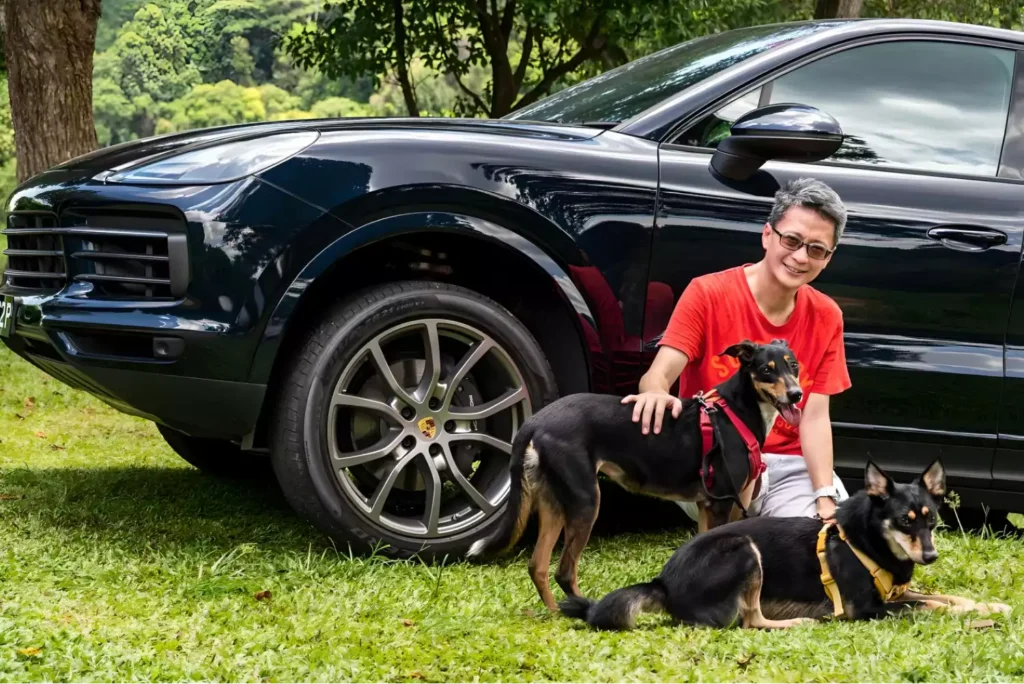 Waterproof Car Dog Hammock