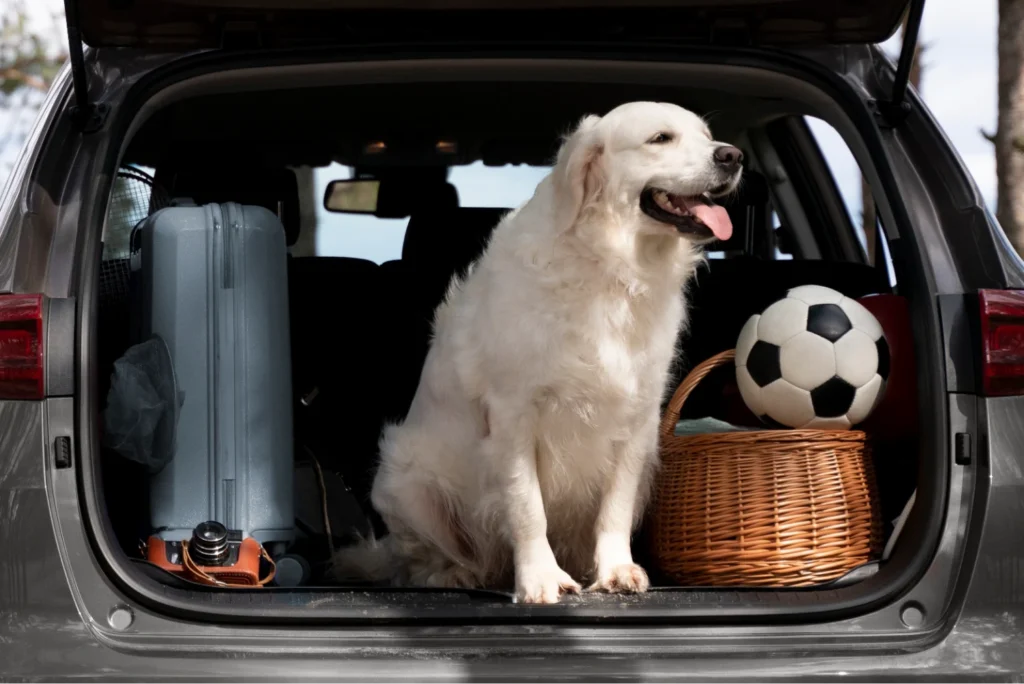 Stylish Dog Car Seat Cover
