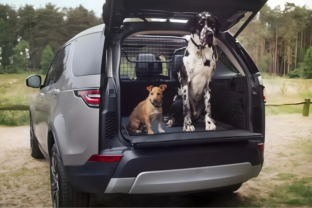 Waterproof Car Dog Hammock